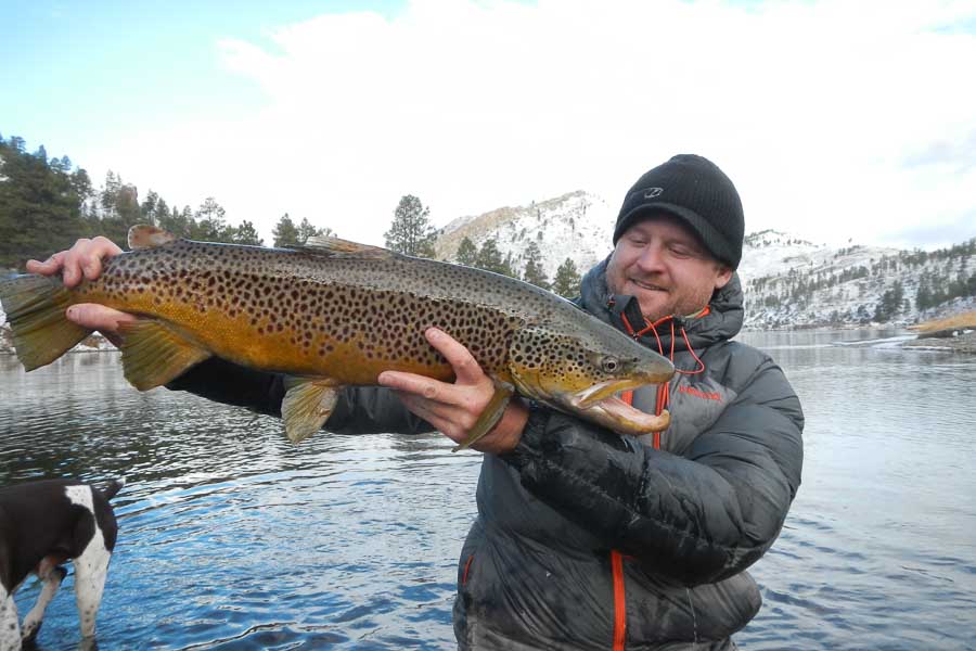 missouri big brown trout fall fishing the missouri