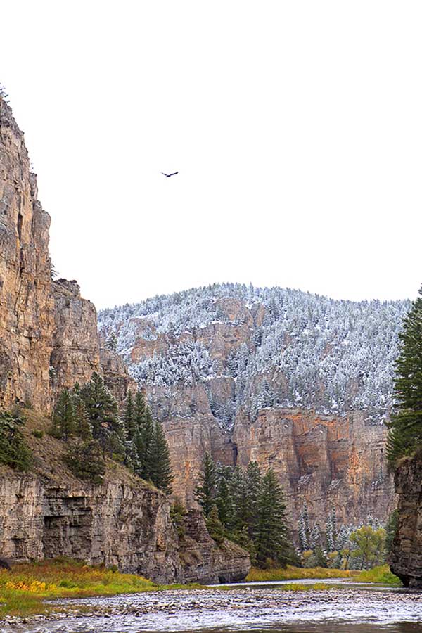 scenery on the smith river