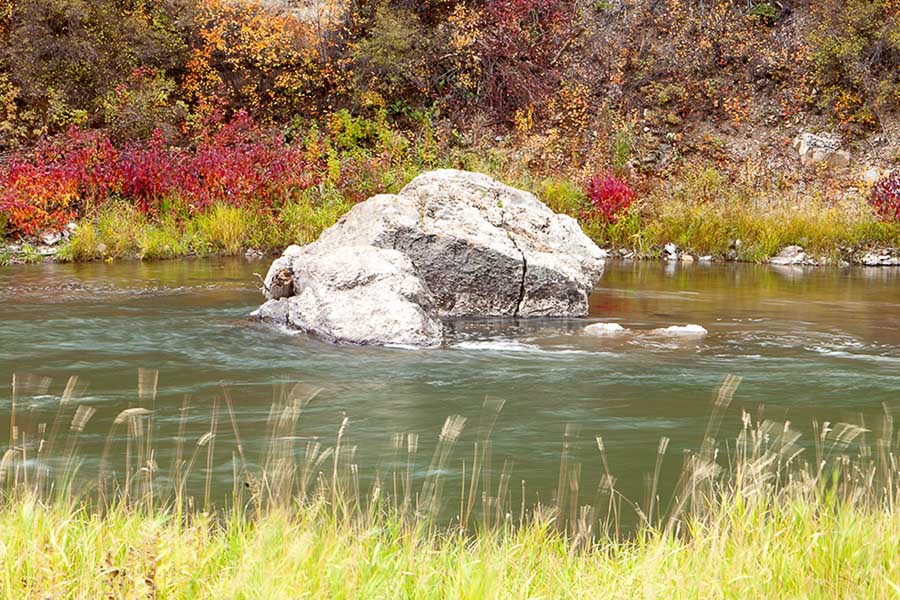 fall fishing smith river