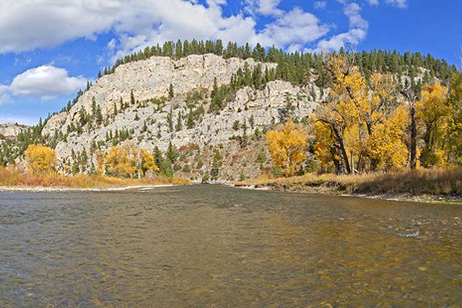 montana fly fishing
