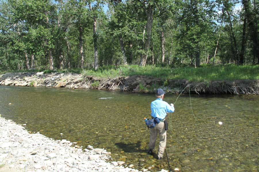 montana fly fishing
