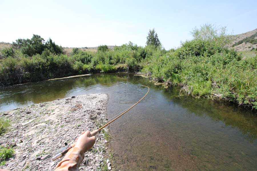 montana fly fishing