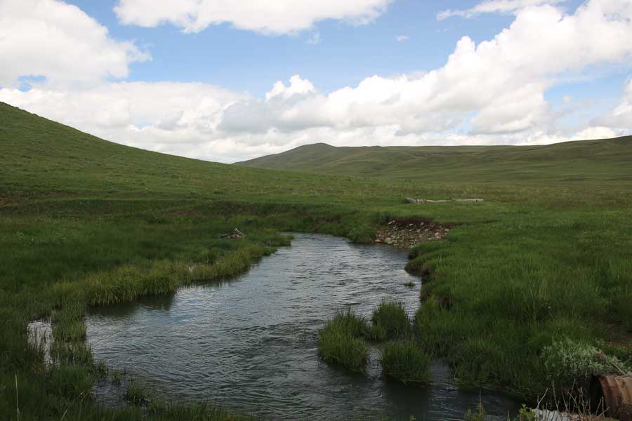 view of small streams