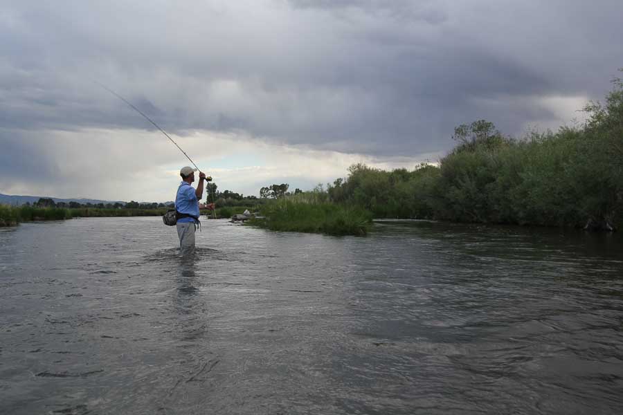 fly fishing montana