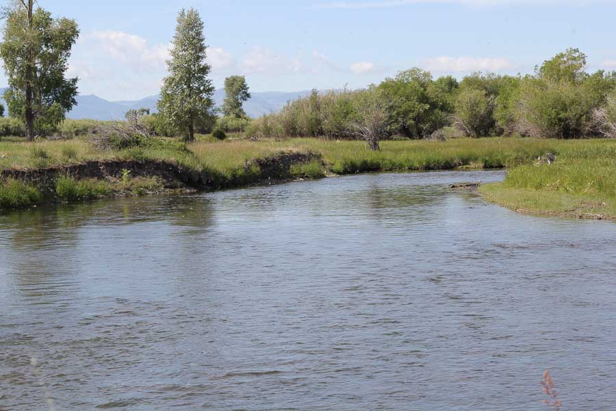 guided fly fishing in montana