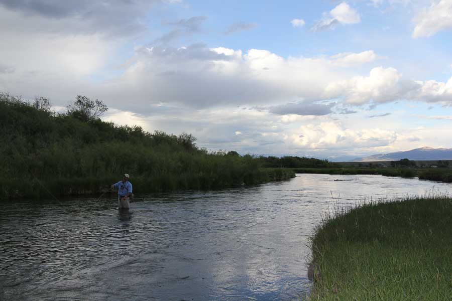 fly fishing beaverhead river