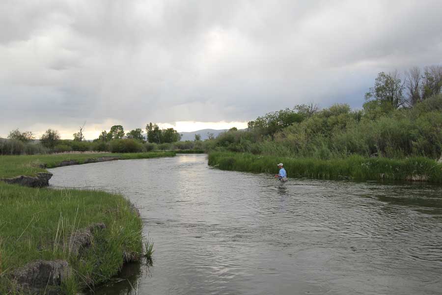 beaverhead river wade fishing