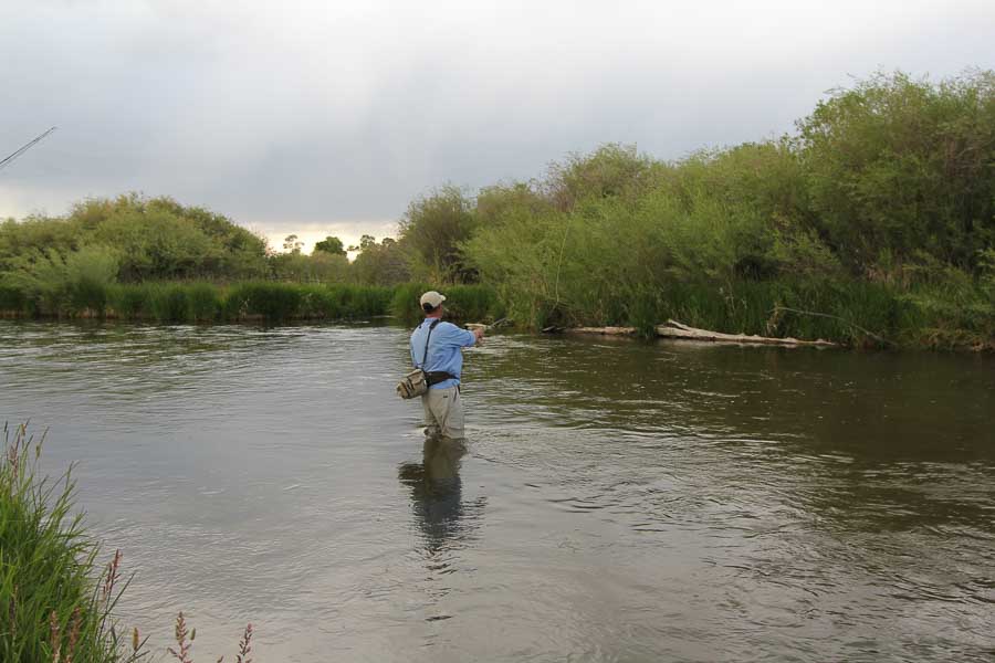 montana fly fishing