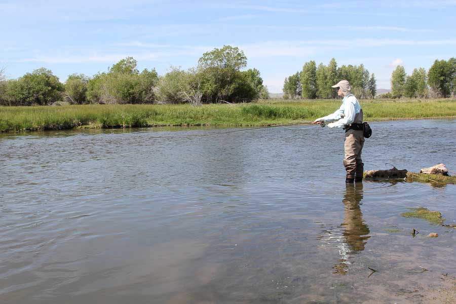 guided trout fishing montana