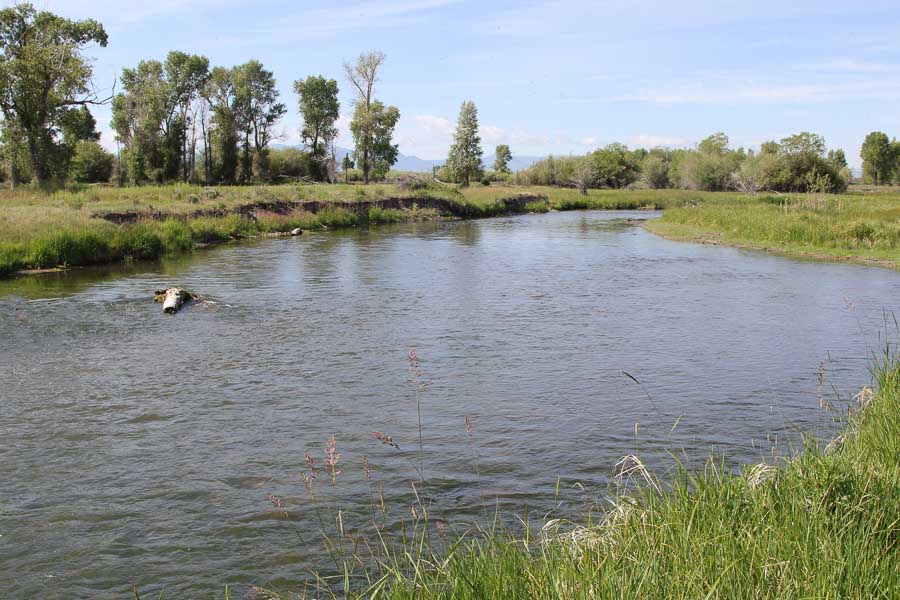 beaverhead river fishing for trout