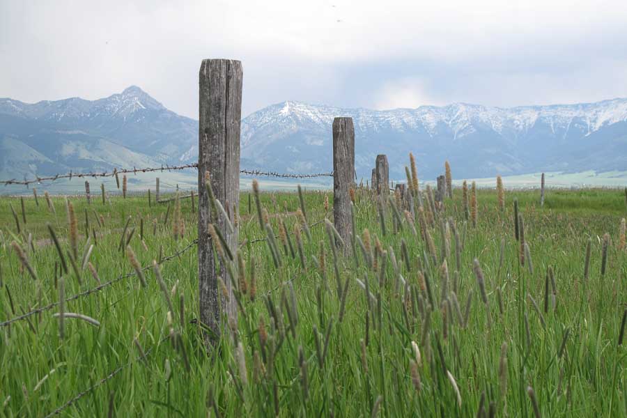 fence and mountain range