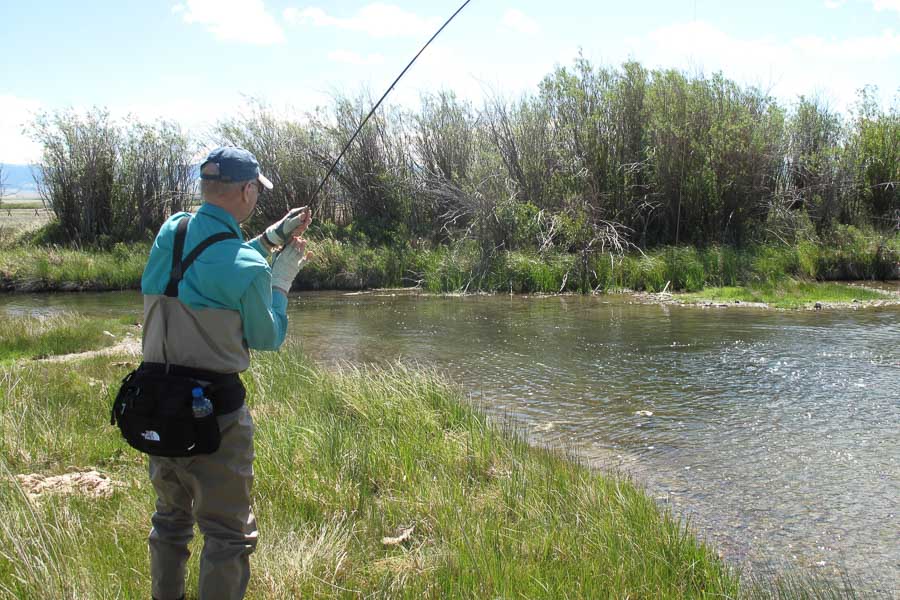 montana fly fishing
