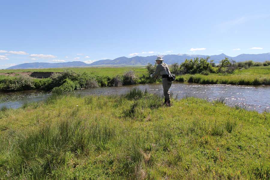 wade fishing east gallatin river