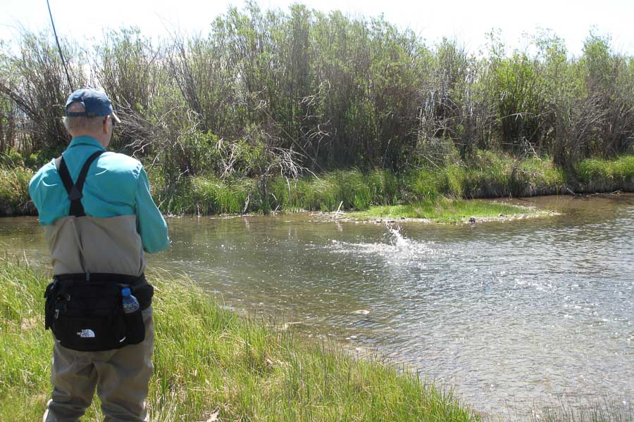 fly fishing montana