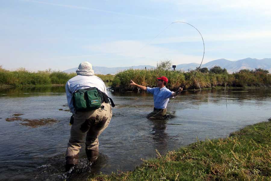 fly fishing east gallatin