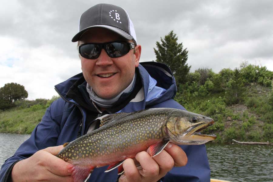 big brook trout guided montana fishing