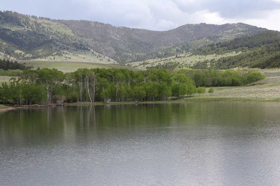 fly fishing hanson lake guided lake fishing