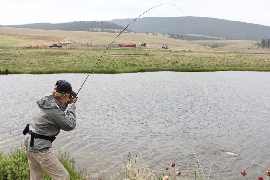 fishing for trout hanson lake trout