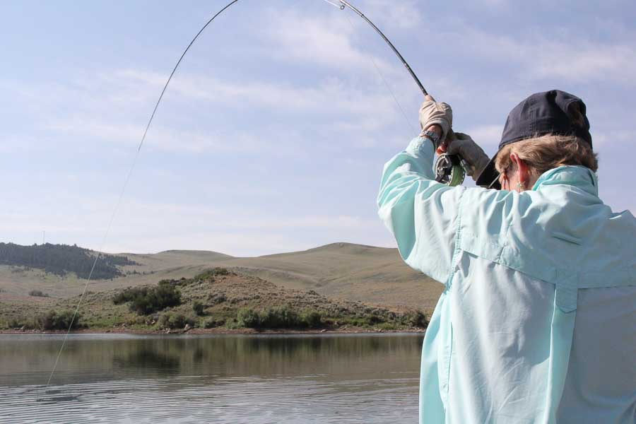 fighting hanson lake fish fishing on hanson lake