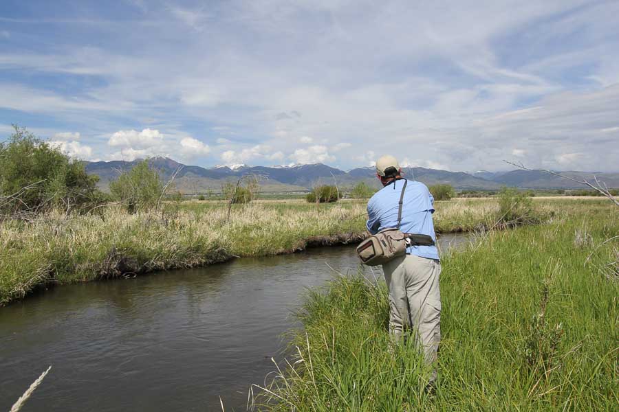 trout fishing on mill creek