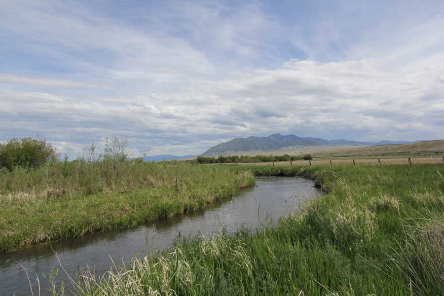 fly fishing creeks in montana