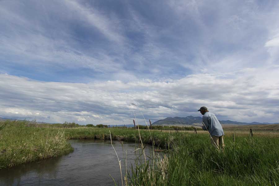 montana fly fishing