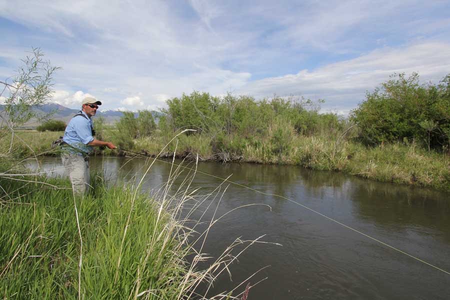fly fishing for trout