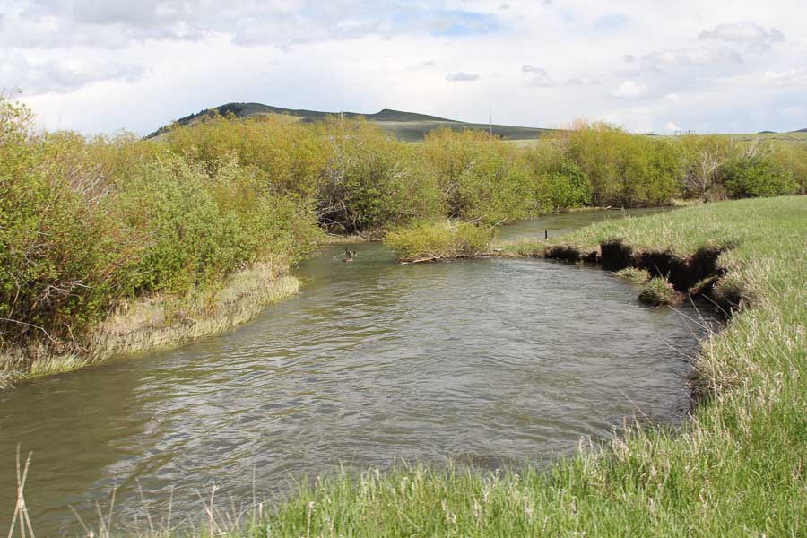 view of the north fork smith river guided fly fishing