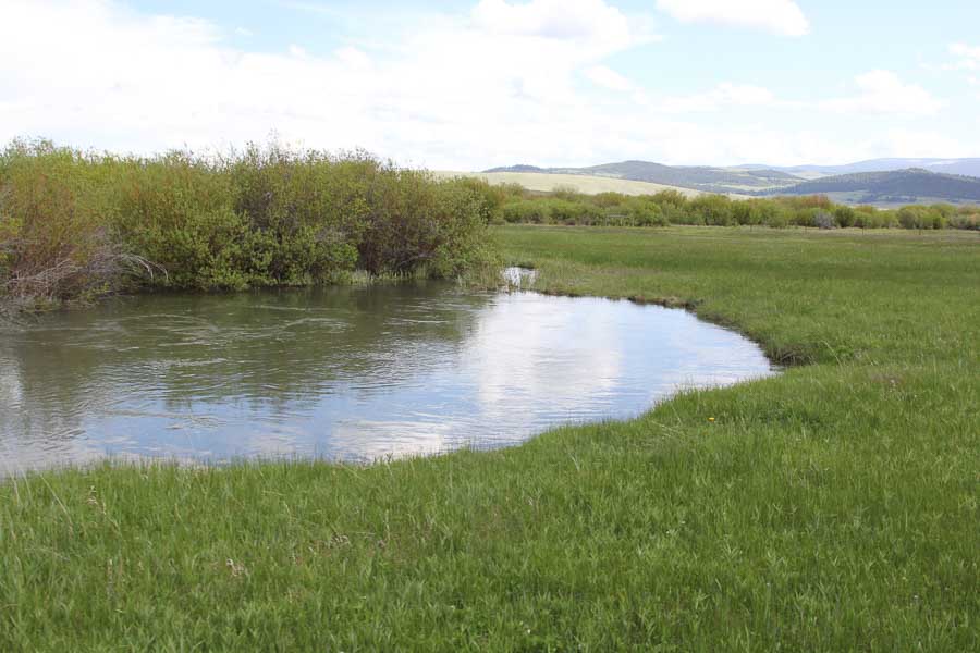 montana guided fly fishing guided trout fly fishing montana