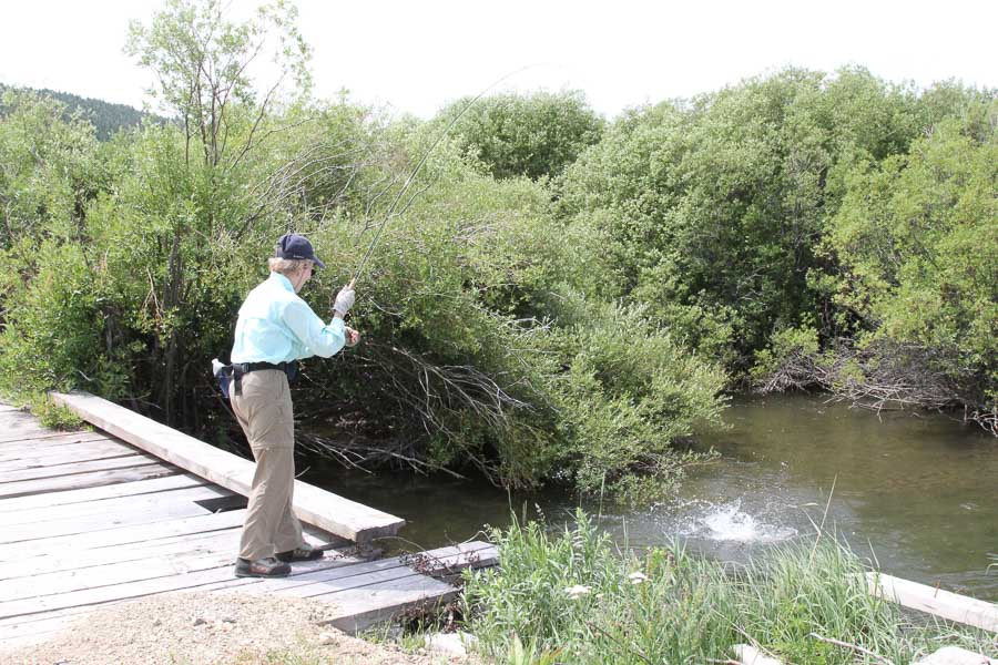 Smith River fishing off smith river bridge