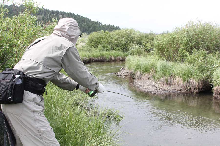 casting for trout in the smith river montana fishing