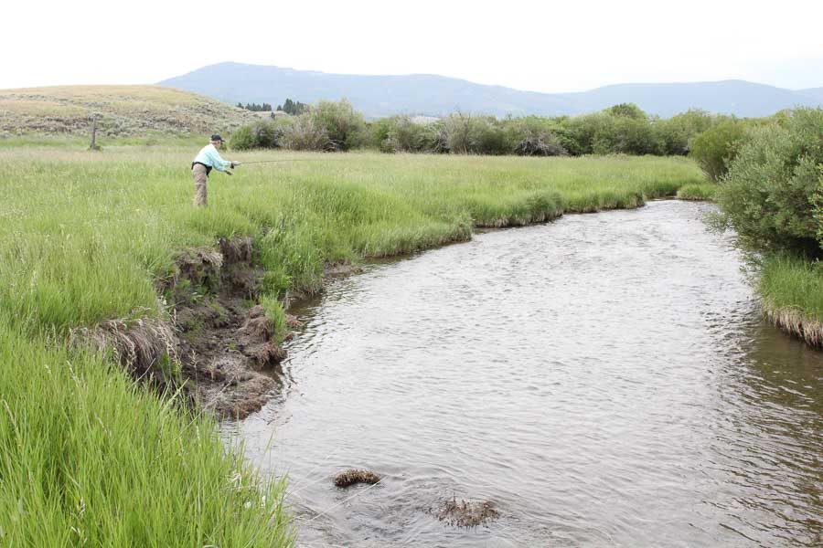 North Fork Smith River fishing off bank scenery