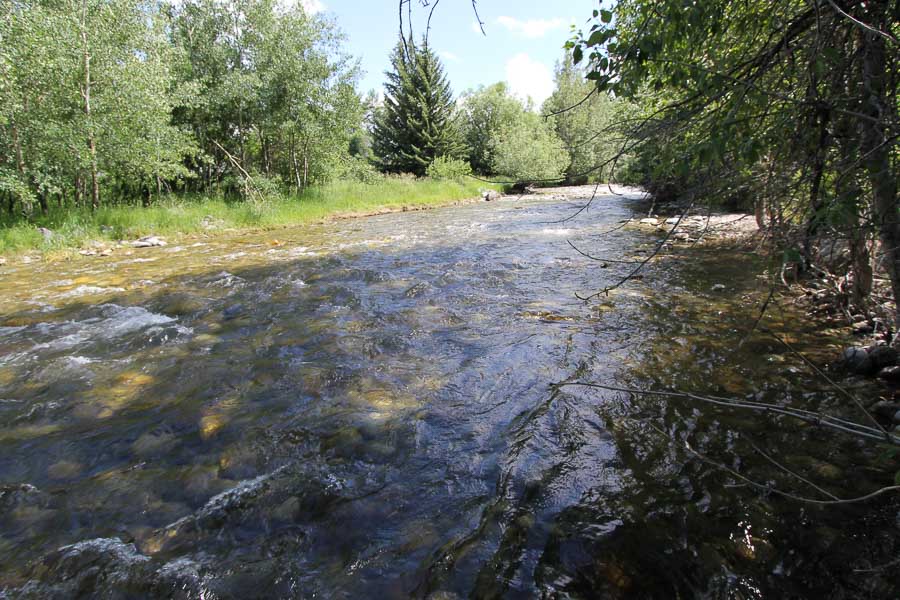 montana guided fly fishing