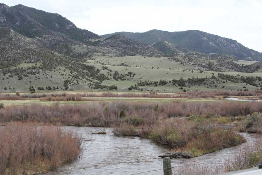 montana guided fly fishing