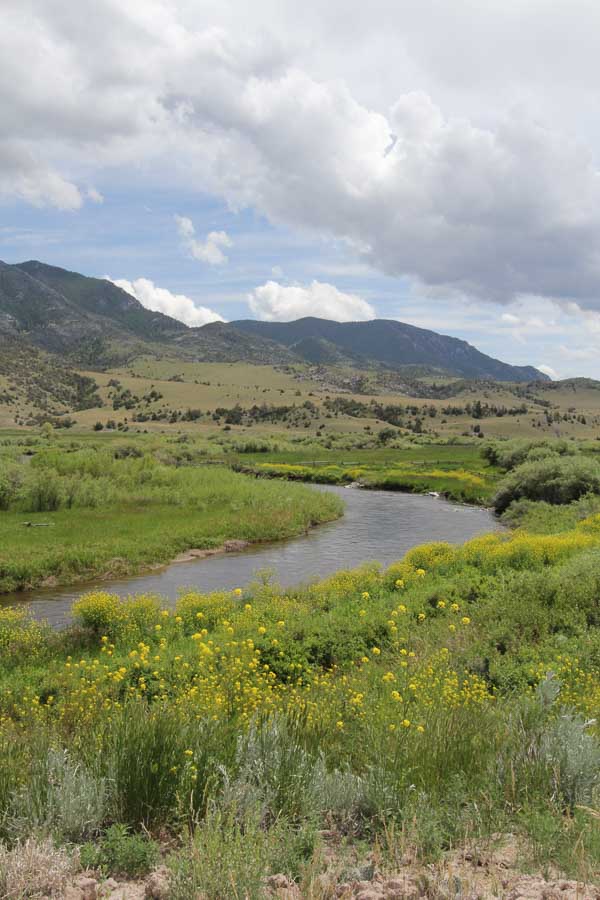 south boulder fly fishing