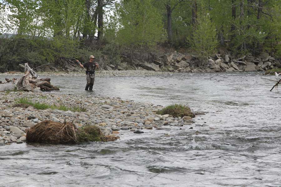 Sweet grass creek guiding fly fishing for trout