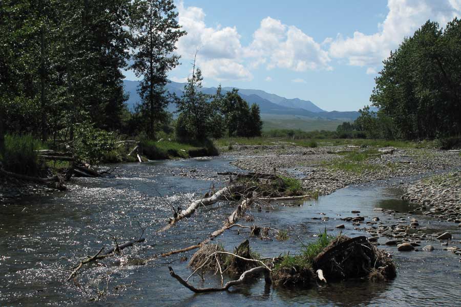 guided fly fishing river and scenery