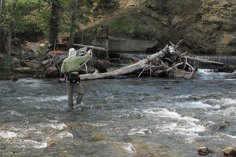 fly casting on sweet grass creek guided fishing
