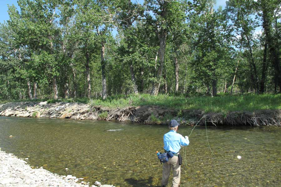 wade fishing sweet grass creek fly fishing sweet grass creek for trout