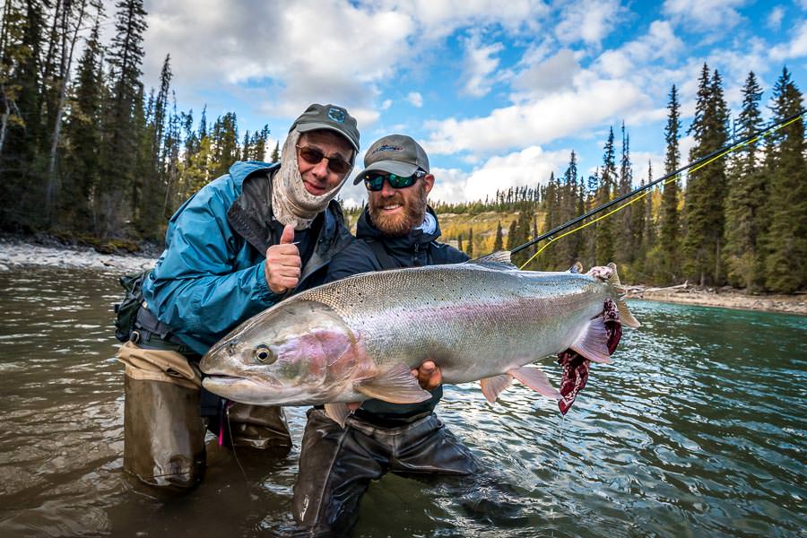 Big Skeena River system steelhead