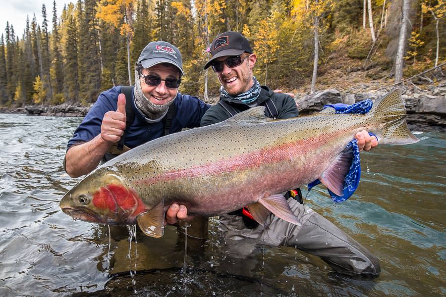 Monster steelhead