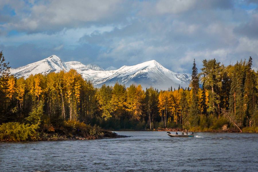 Sustut River Steelhead