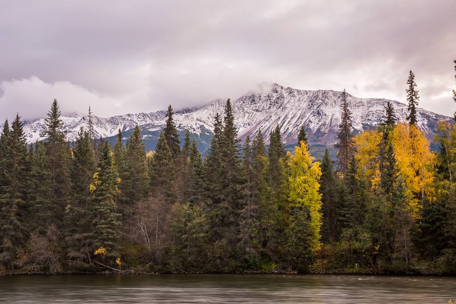 Fly Fishing for big steelhead