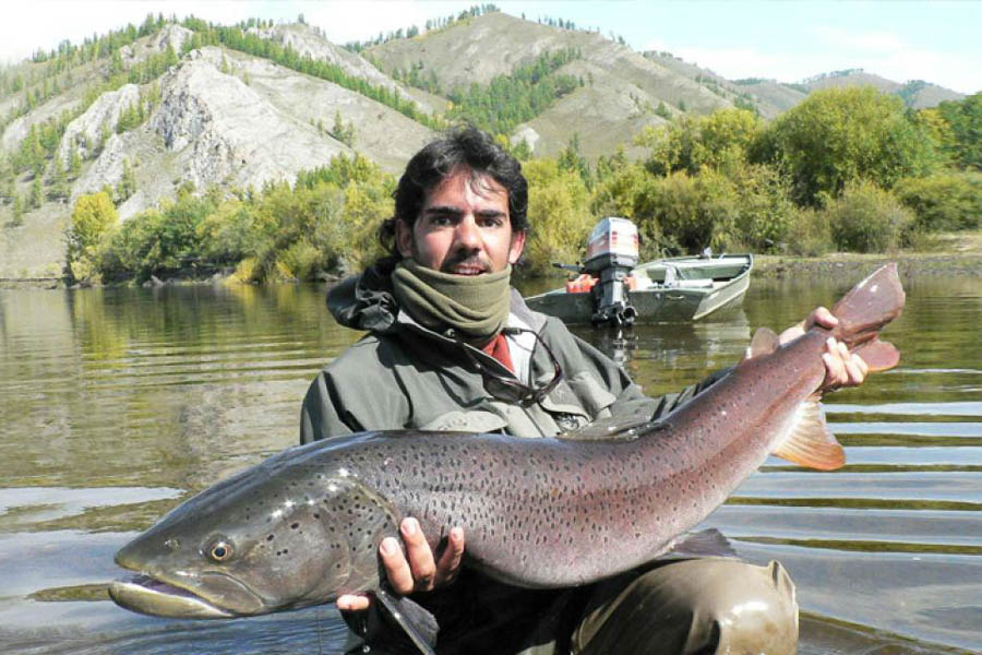 Large Mongolian Taimen