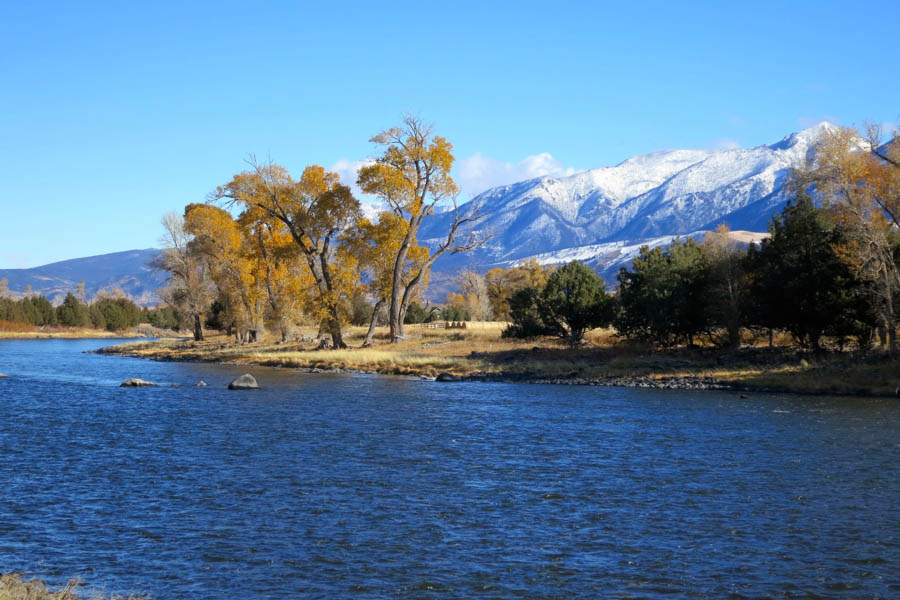 Yellowstone river