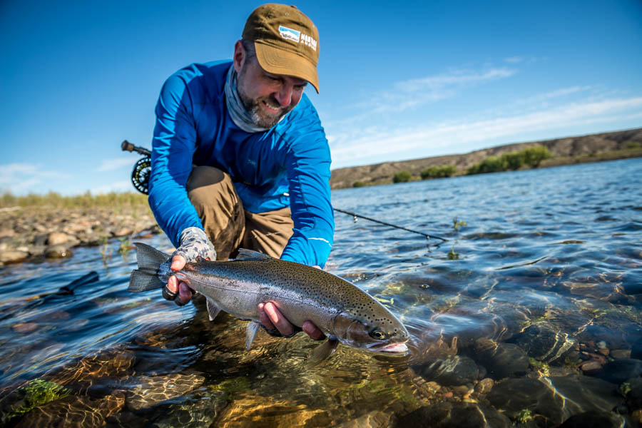 Rainbow release
