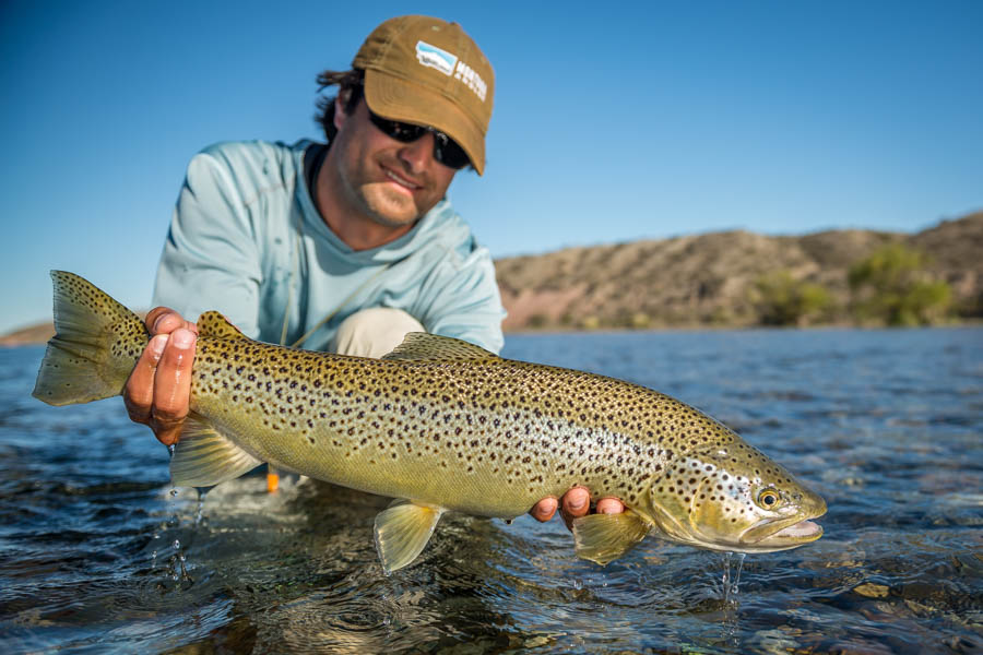 Nice brown