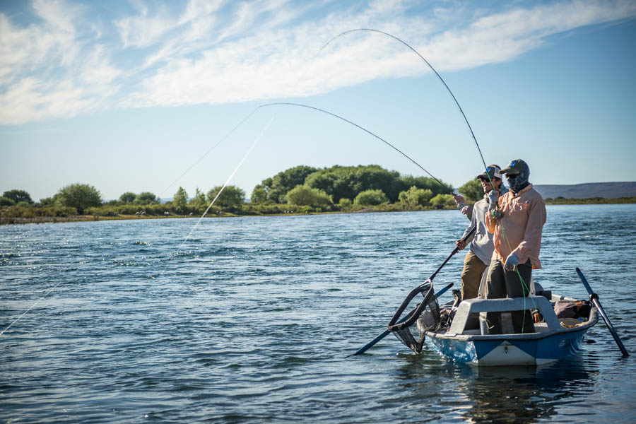 Limay hookup