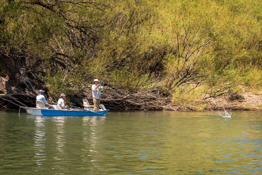 Fishing the Collon Cura