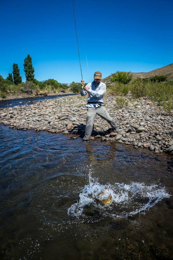 Big Trout take Argentina